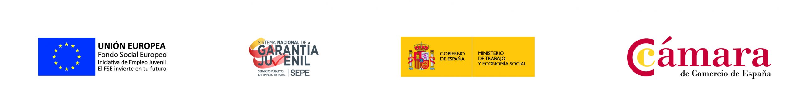 Logotips del Programa PICE