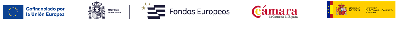 Programa Comercio Minorista