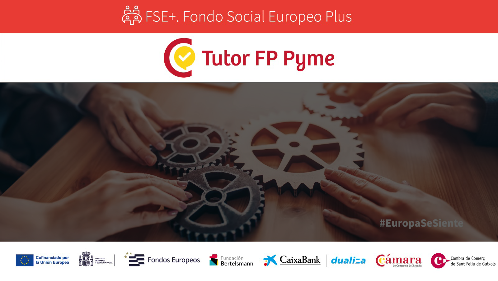 Programa de Suport als Tutors de FP Dual de Micro i Petites Empreses